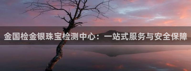 新宝5代理：金国检金银珠宝检测中心：一站式服务与安全保障