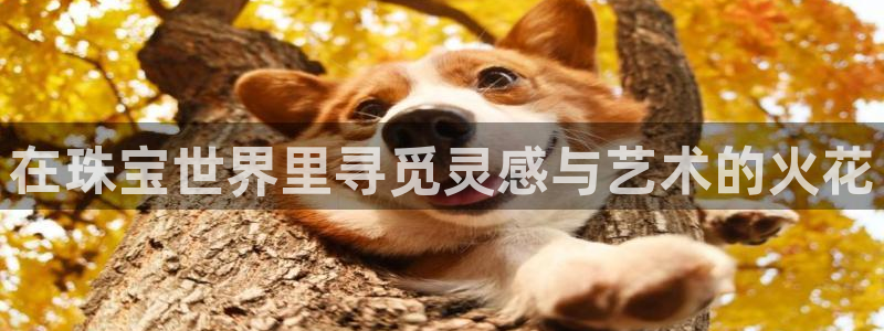 新宝5系列：在珠宝世界里寻觅灵感与艺术的火花