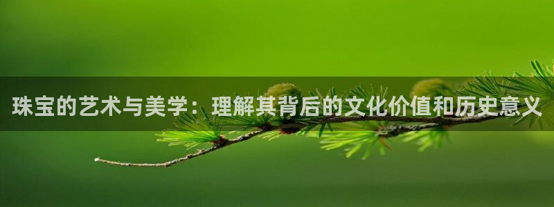 新宝5下载注册：珠宝的艺术与美学：理解其背后的文化价值和历史意义