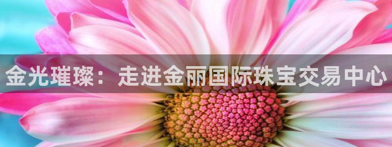 新宝5登录入口网址：金光璀璨：走进金丽国际珠宝交易中心
