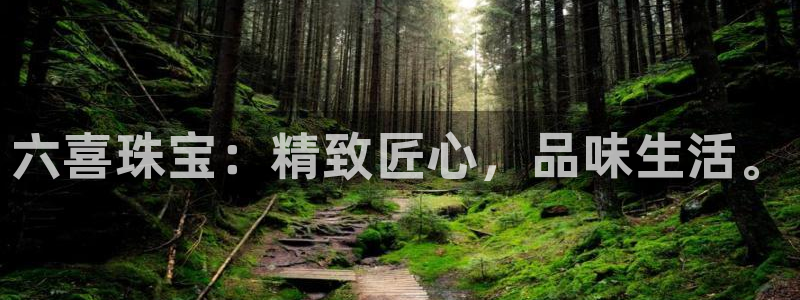 新宝5测速登陆：六喜珠宝：精致匠心，品味生活。
