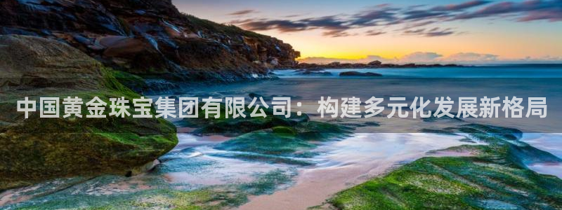 新宝cR一5：中国黄金珠宝集团有限公司：构建多元化发展新格局